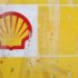 shell verdict