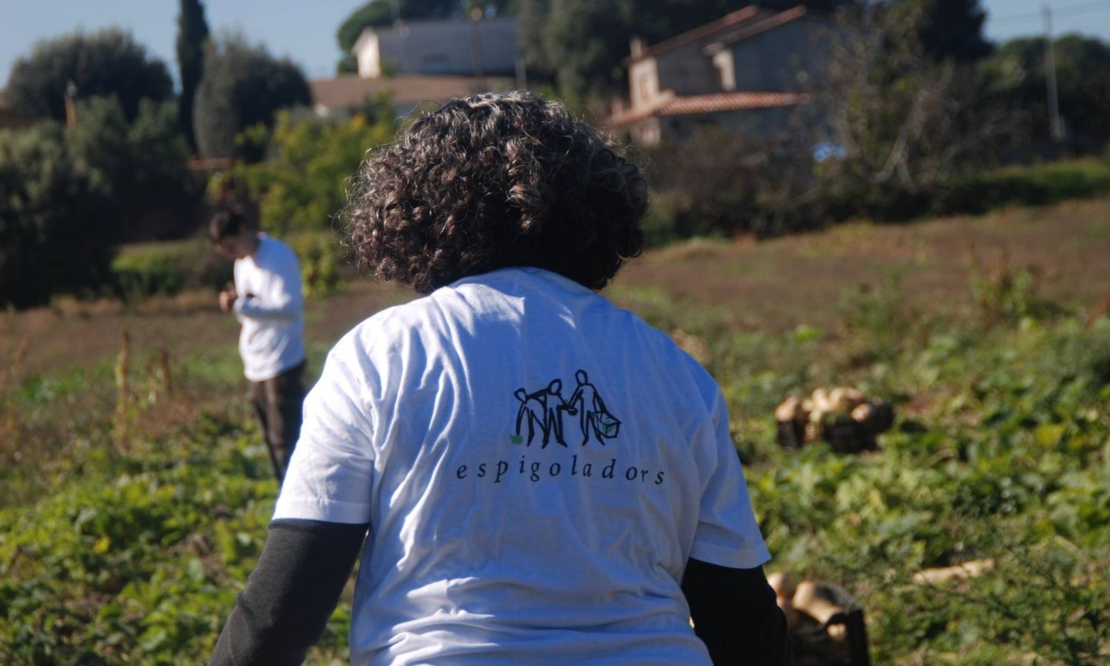 food bank spain food bank spain