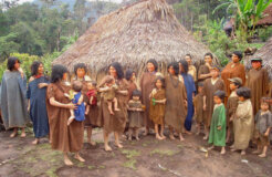 ashaninka_puente ashaninka_puente