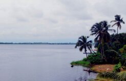 14713529723_217dc96a10_o_header2