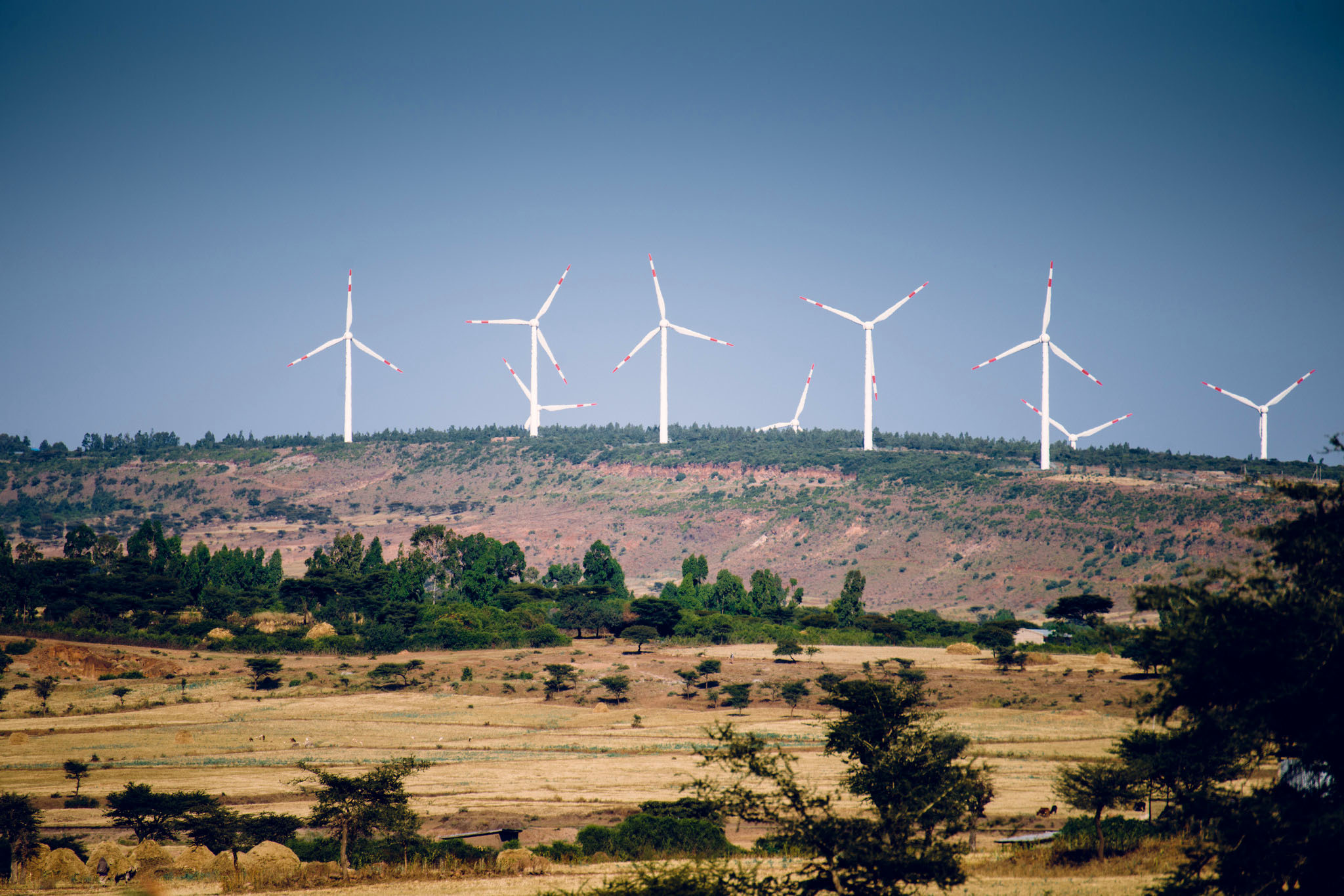 14873841058_028587654e_k