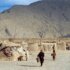 Afghan Refugees