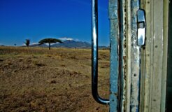 68230572_5fffa17629_o 68230572_5fffa17629_o