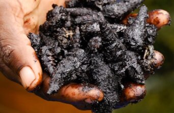 niger delta oil spill amnesty niger delta oil spill amnesty