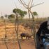 Malawi Mouse Boys