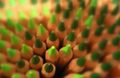 sharp-pencils-green
