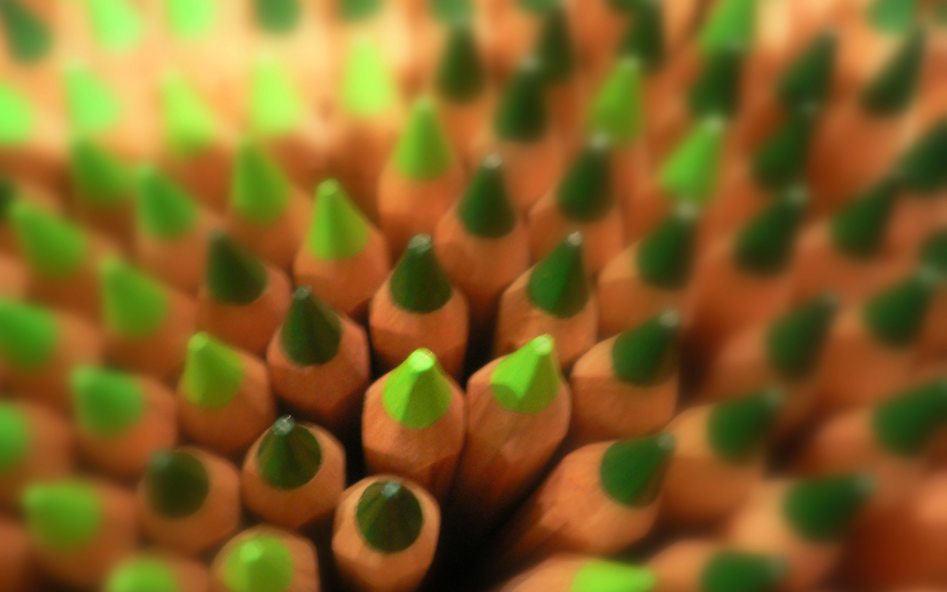 Green is not only a color | FairPlanet