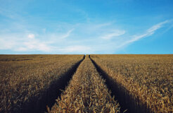 17195974180_6ed5fea577_k