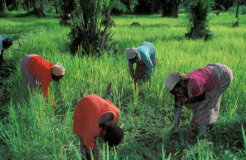 2073350635_c73aca9e2d_o_2