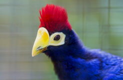 11070072095_e17628d53c_k