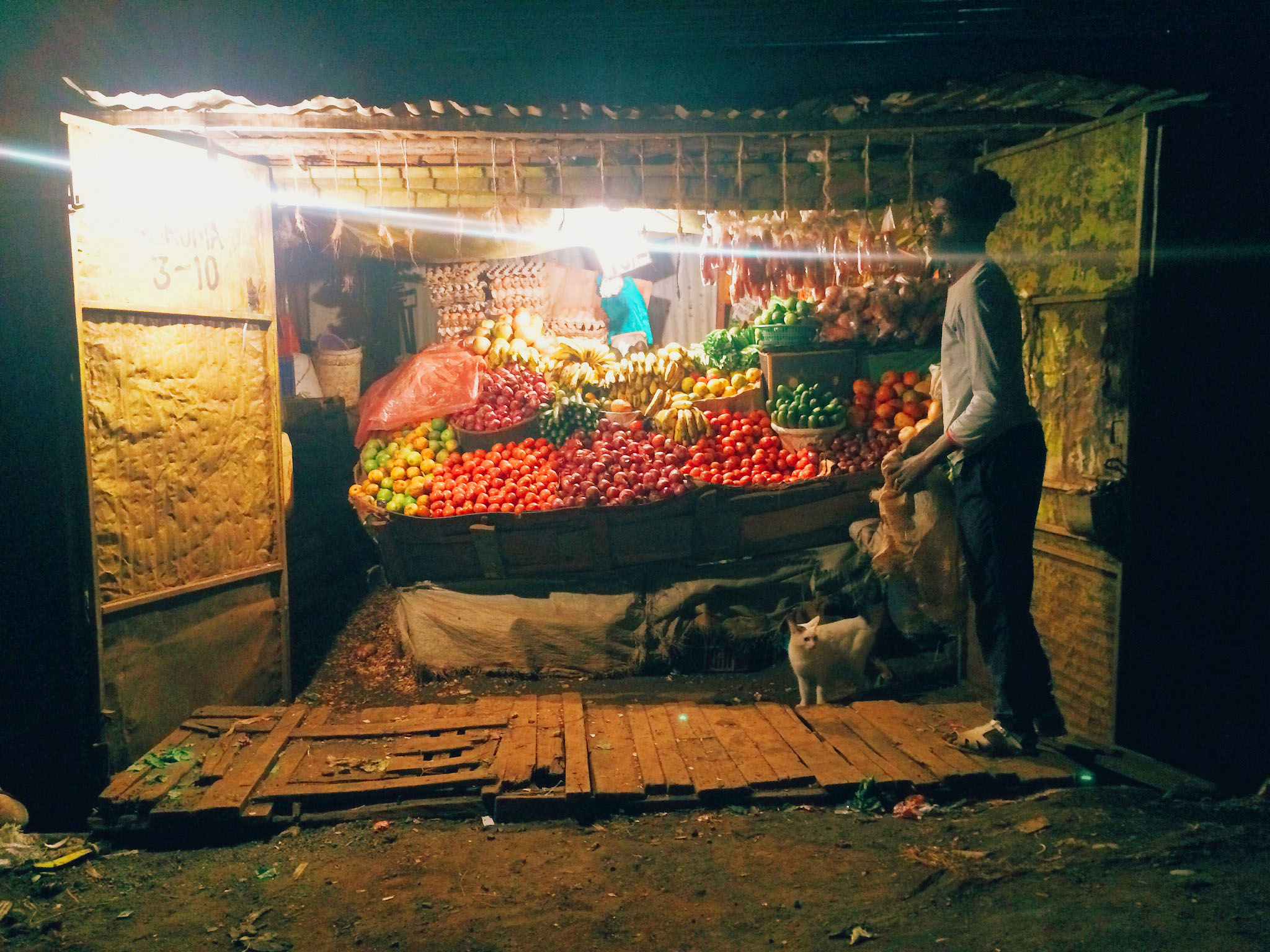 23078417003_910880d061_k