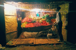 23078417003_910880d061_k 23078417003_910880d061_k