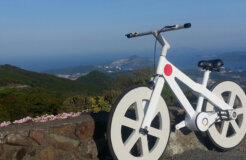 1548078_645589318861478_3918903047435803258_o