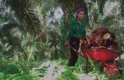 9407385950_d666518149_k