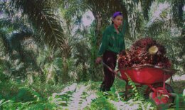 9407385950_d666518149_k