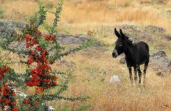 283898022_66dc608b3b_o