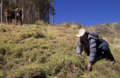 water_sowing_2 Kopie water_sowing_2 Kopie