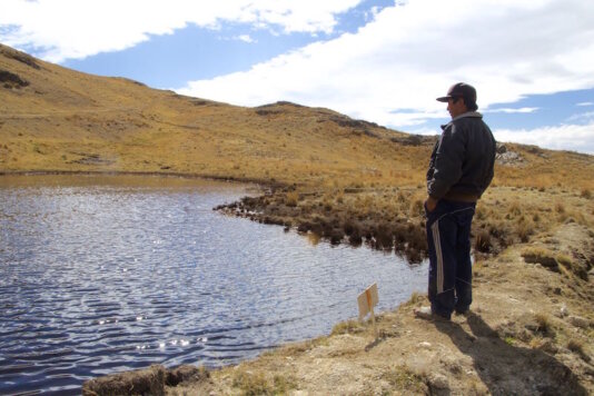 water_sowing_5 Kopie