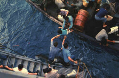 16281284781_e3862f28ed_o