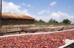 5388742304_d25a393ae8_o