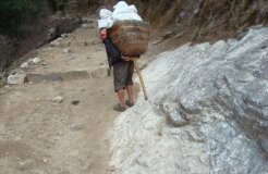 human porters human porters