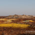 Danakil Mine
