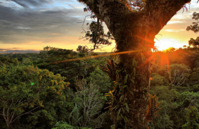 climate change yasuni national park