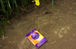 Uganda femalecondoms