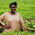 farmer africa