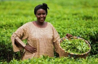 farmer africa farmer africa