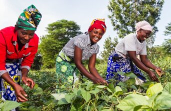 african femal farmer