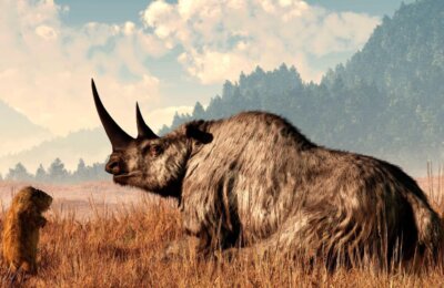 woolly rhino illustration