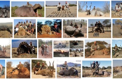 hunting rhino africa 2