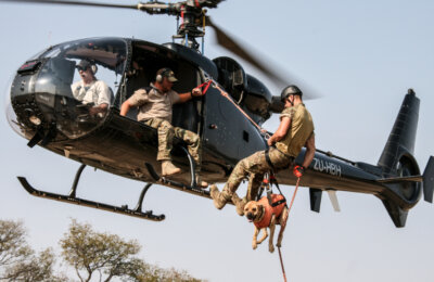 RF HELICOPTER DOG