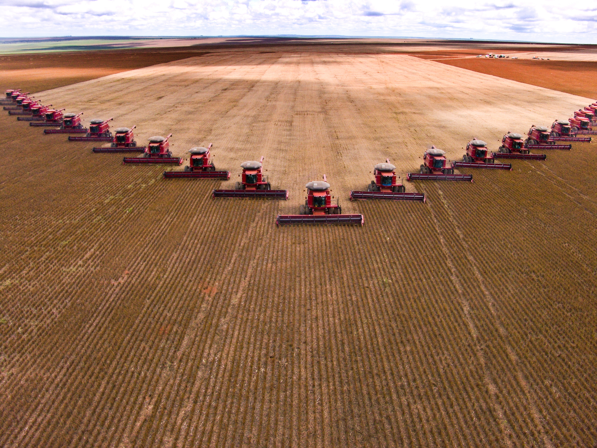Soybean harvest