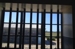 babies behind bars babies behind bars