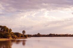 tanzania forest tanzania forest