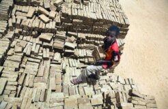 child labour zimbabwe