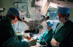 illegal_organs illegal_organs