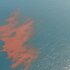 Oil on water
