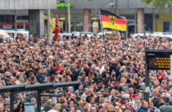 29384621647_13141f2fd7_k 29384621647_13141f2fd7_k