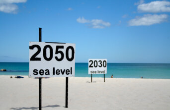 future-sea-levels