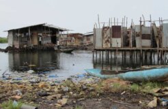 sanitation sanitation