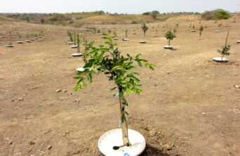 africa 2019 africa 2019