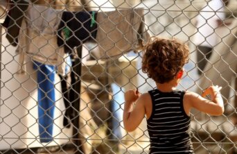 child migration teint usa child migration teint usa