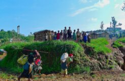 africa great green wall africa great green wall