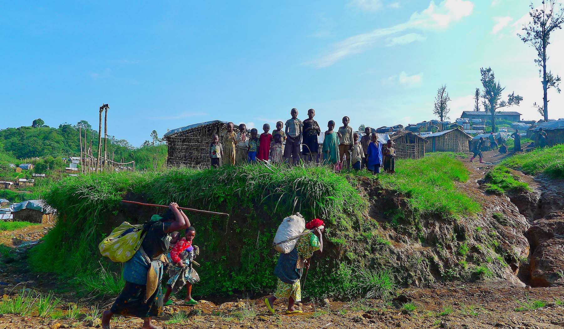 africa great green wall