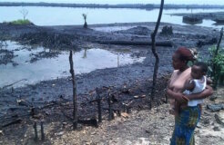 shell niger shell niger