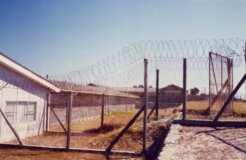 africa torture africa torture