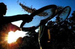 brazil coffee brazil coffee